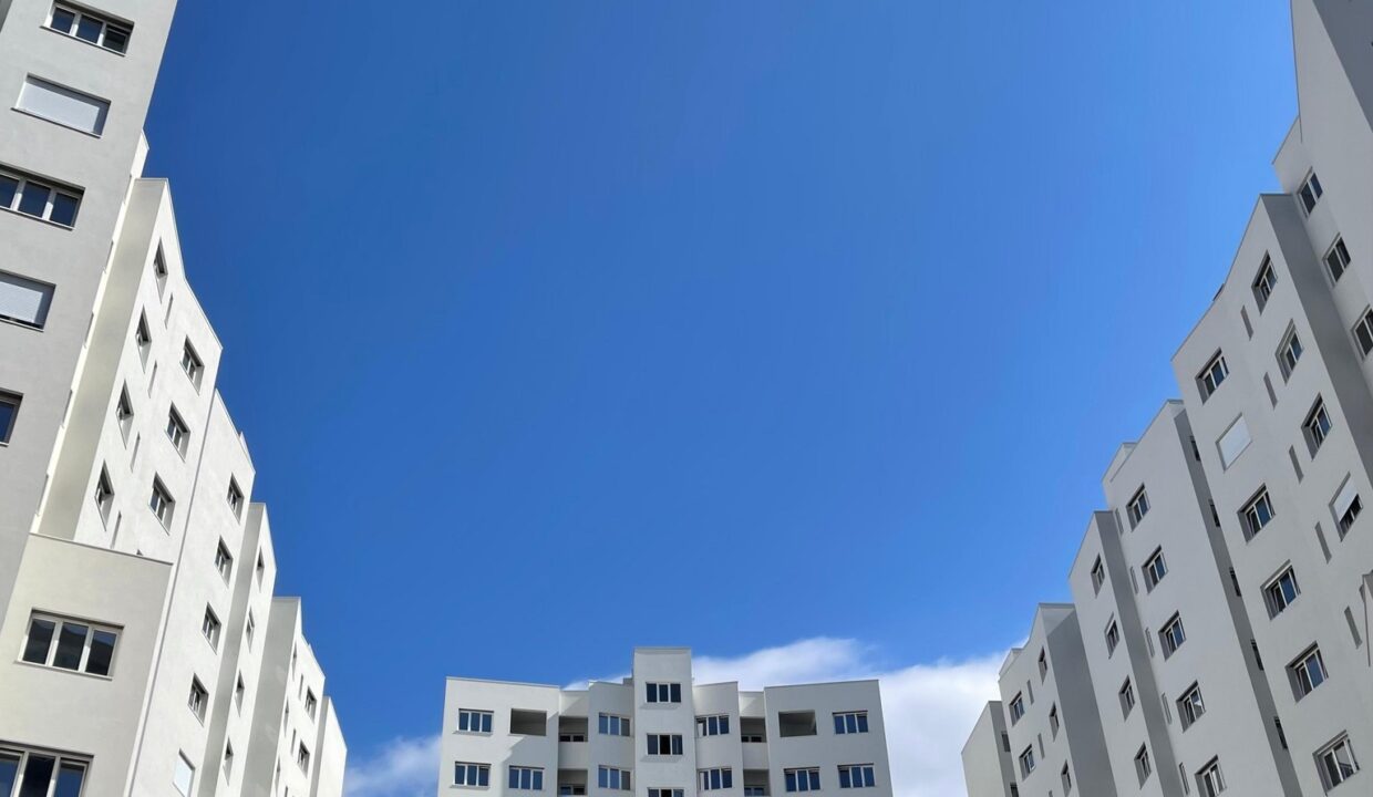 459394854_1022661946535295_6975592073691955718_n