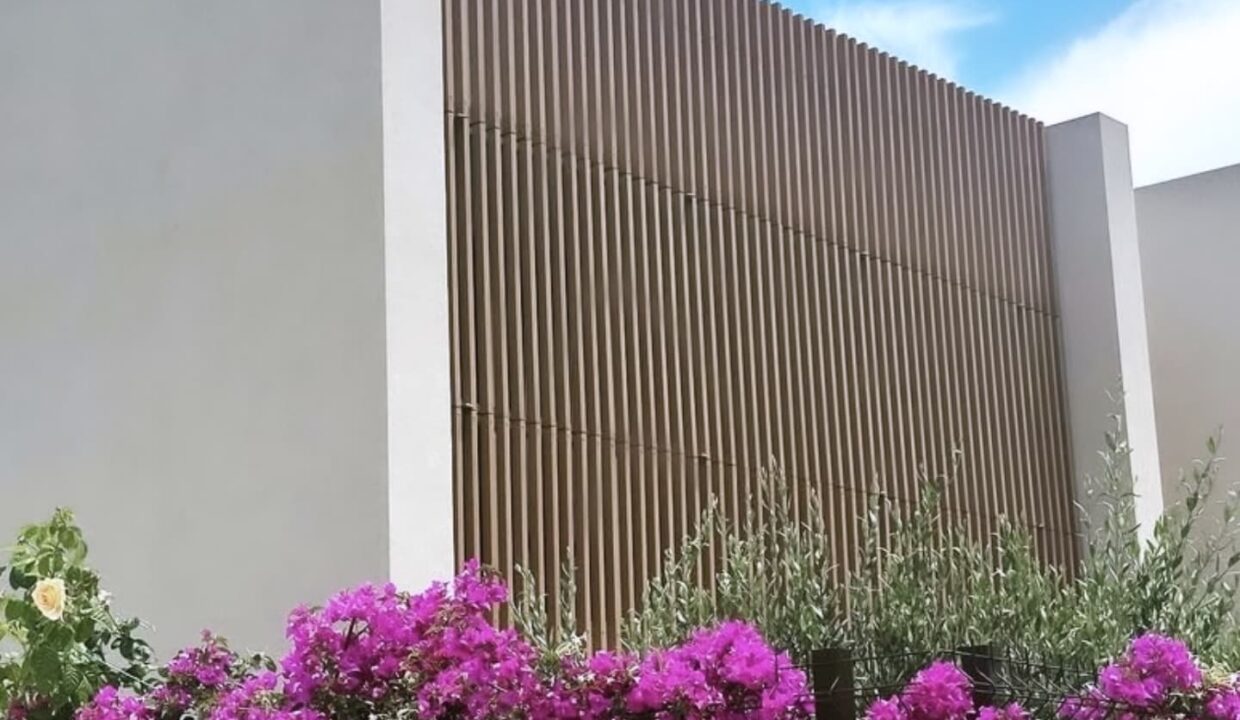 472721062_1118142566987232_7979210515244606332_n