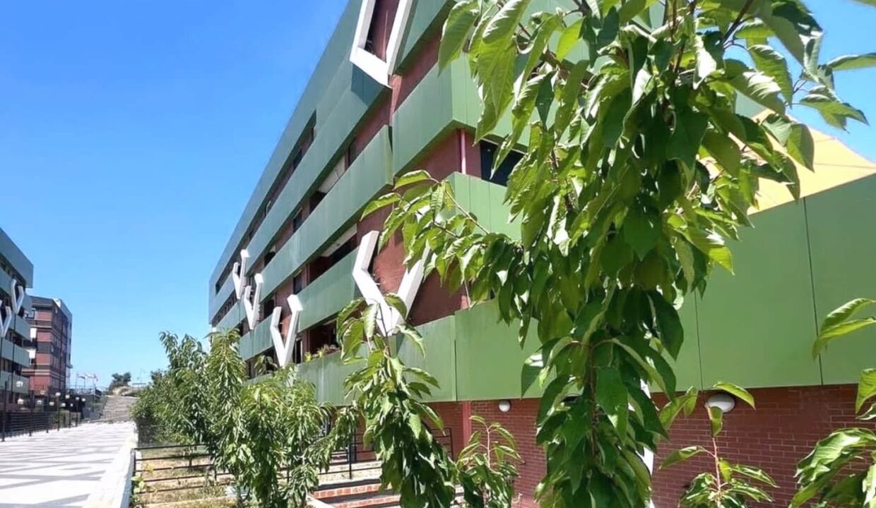 476315791_1142300327904789_2780452549404525809_n