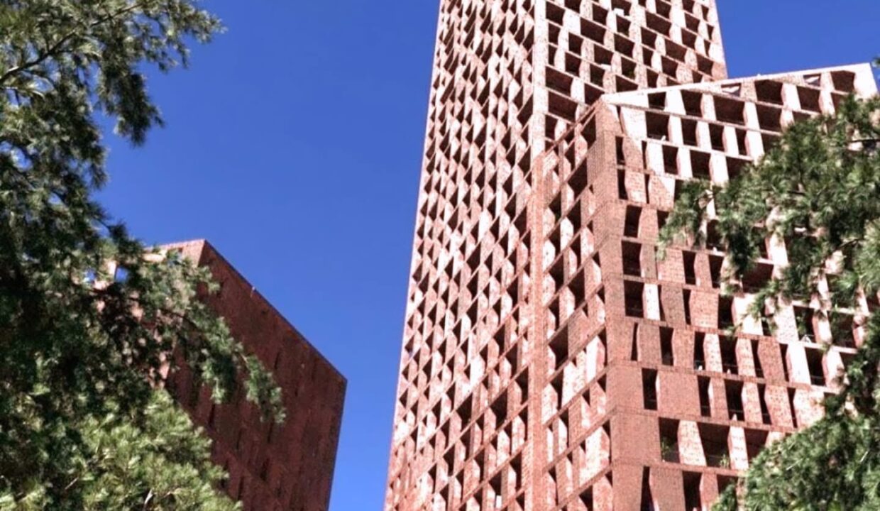 495770389_1225523042915850_5633104469544490348_n