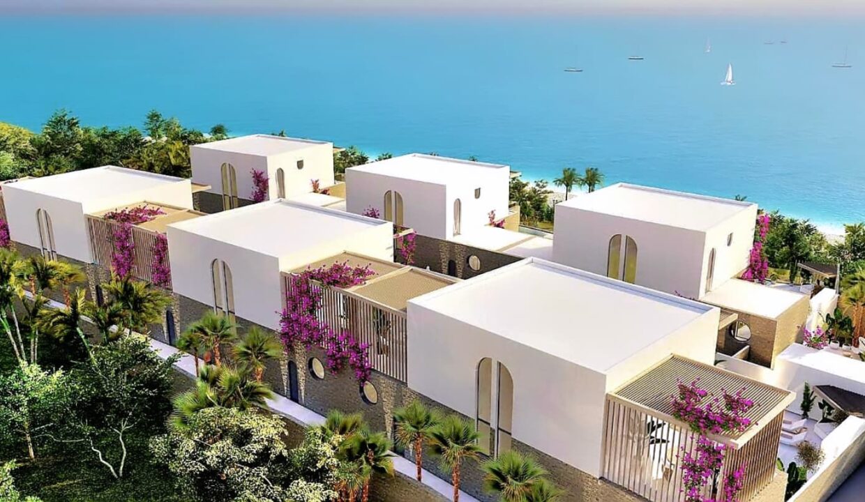 497548239_1235258501942304_6812932970835394379_n