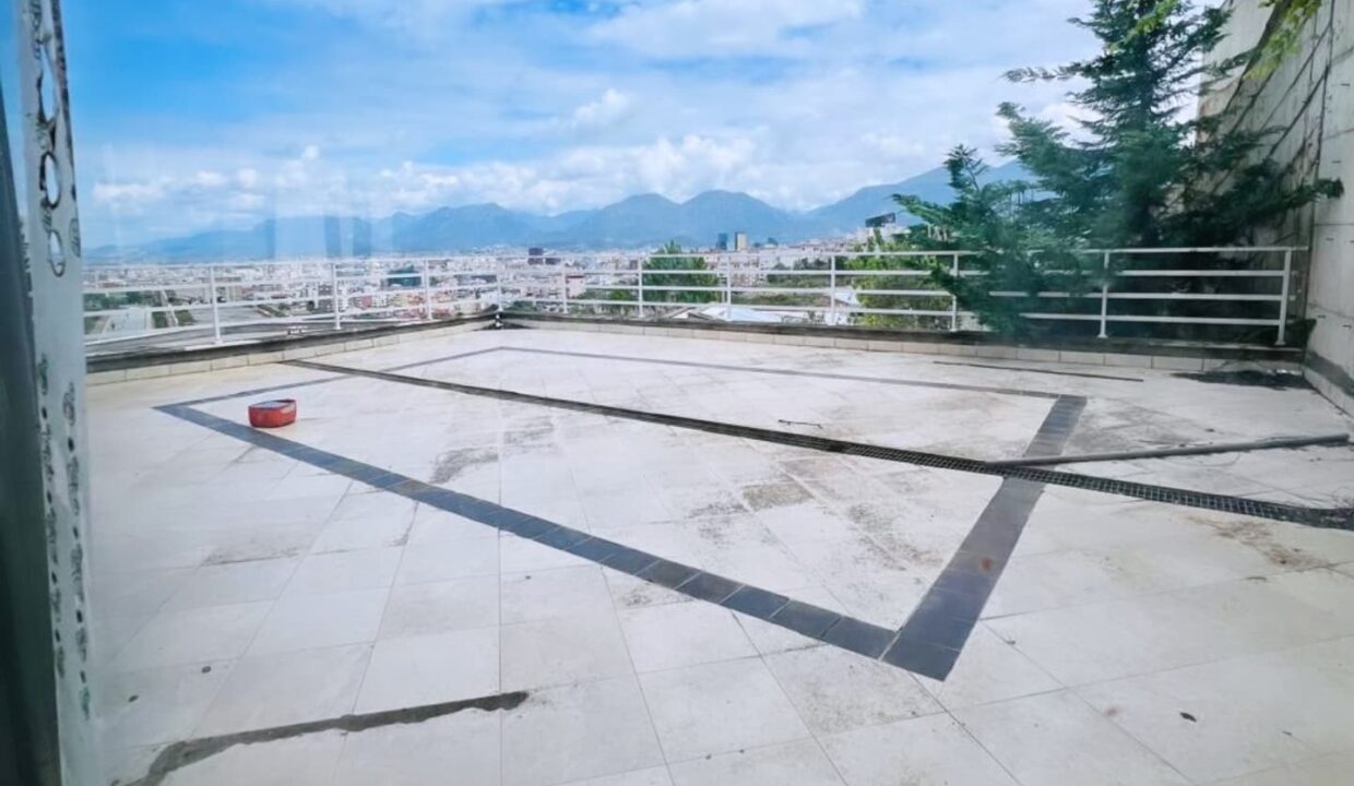 504427744_1260029689465185_2262466555081508872_n
