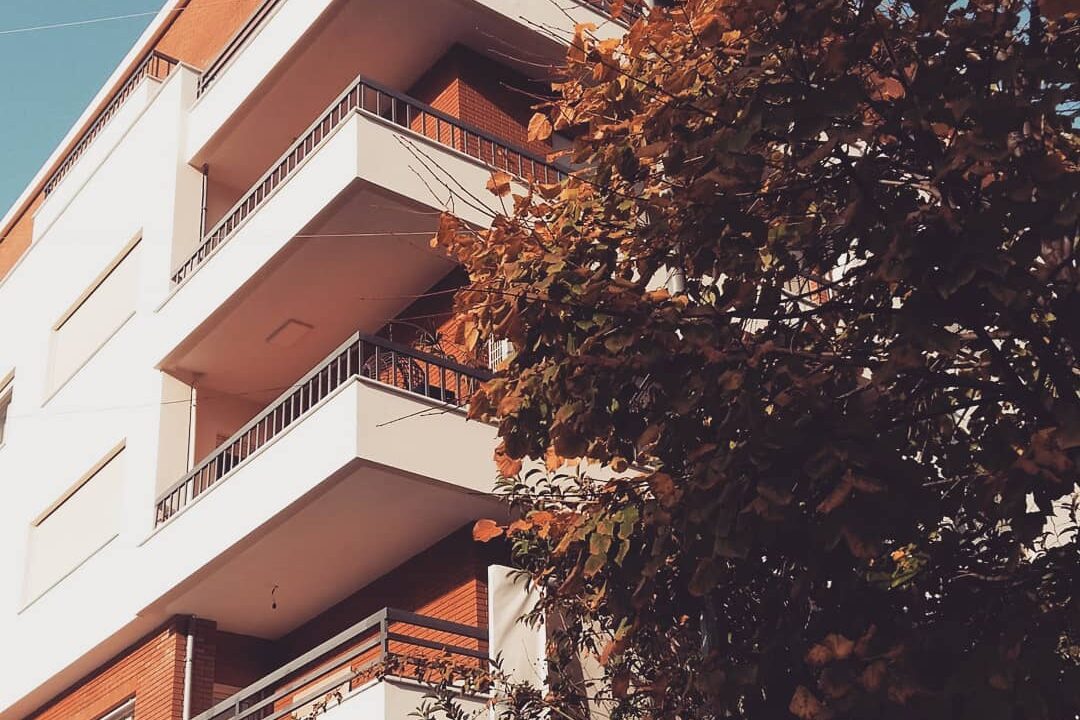 518390534_1291190729682414_5790286715580836230_n