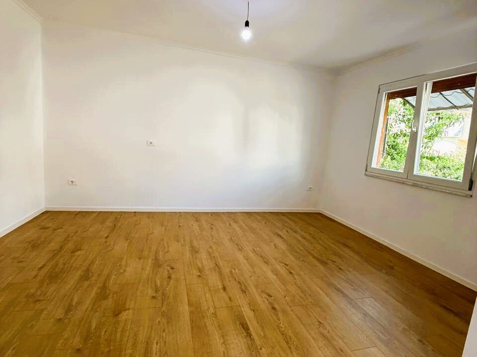 520308237_1292070812927739_4526411413581324293_n