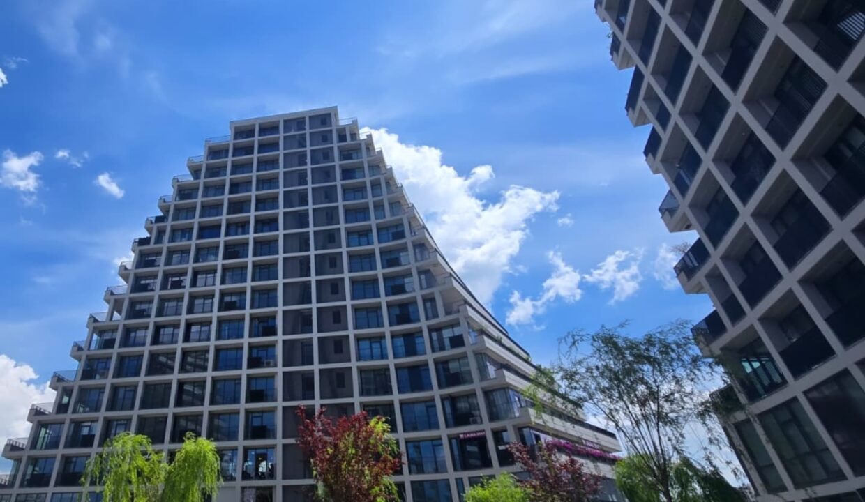 520804667_1295585749242912_5229019165487062810_n