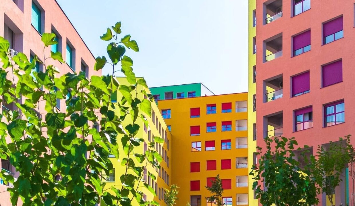 502580671_1248959987238822_7459218983607930574_n