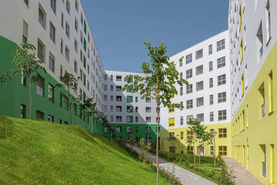 504201339_1253521466782674_8784651955441382768_n