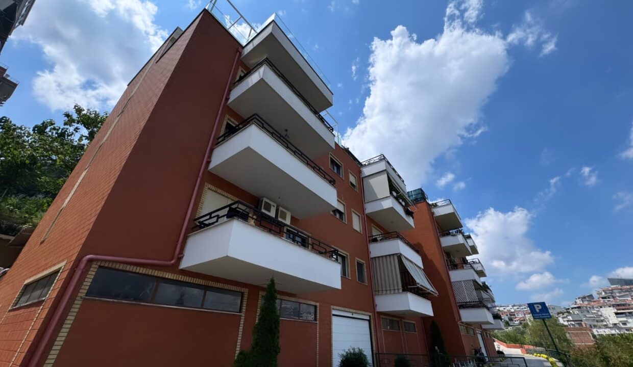 519420973_1293903636077790_6242800314764961182_n