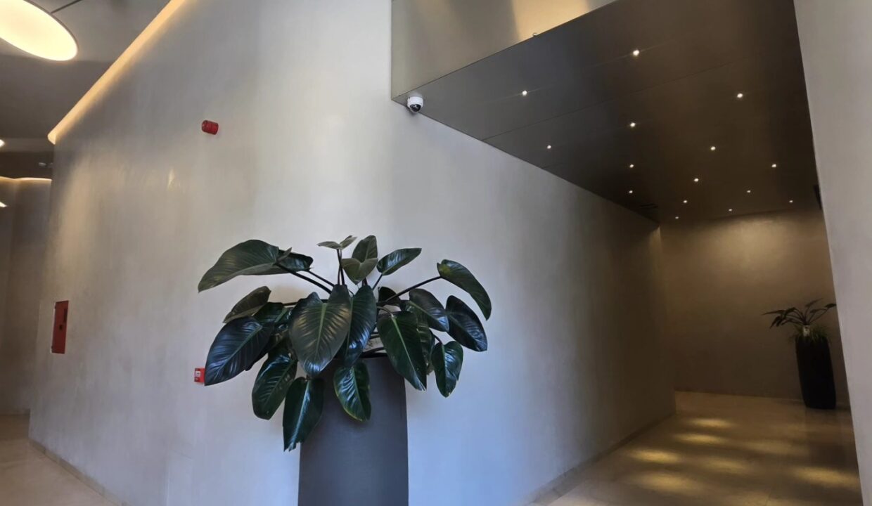 552635720_1358587472942739_7452224346039400907_n