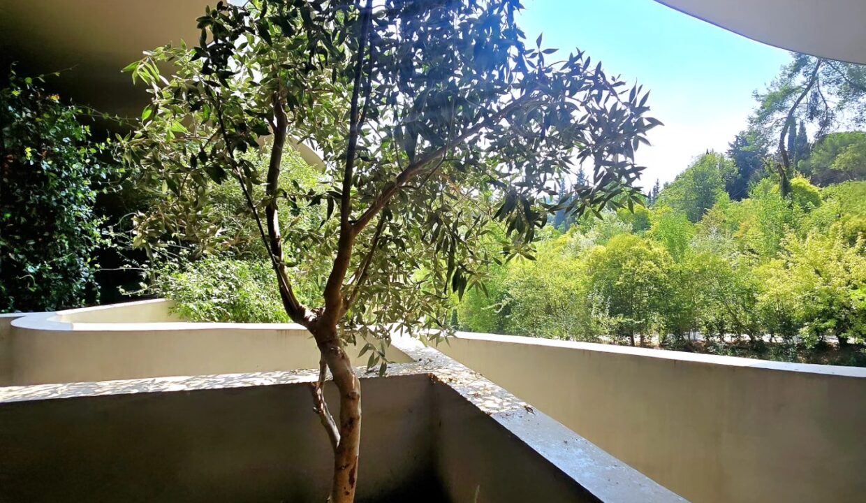 554106443_1358587482942738_5453801800260115479_n (1)