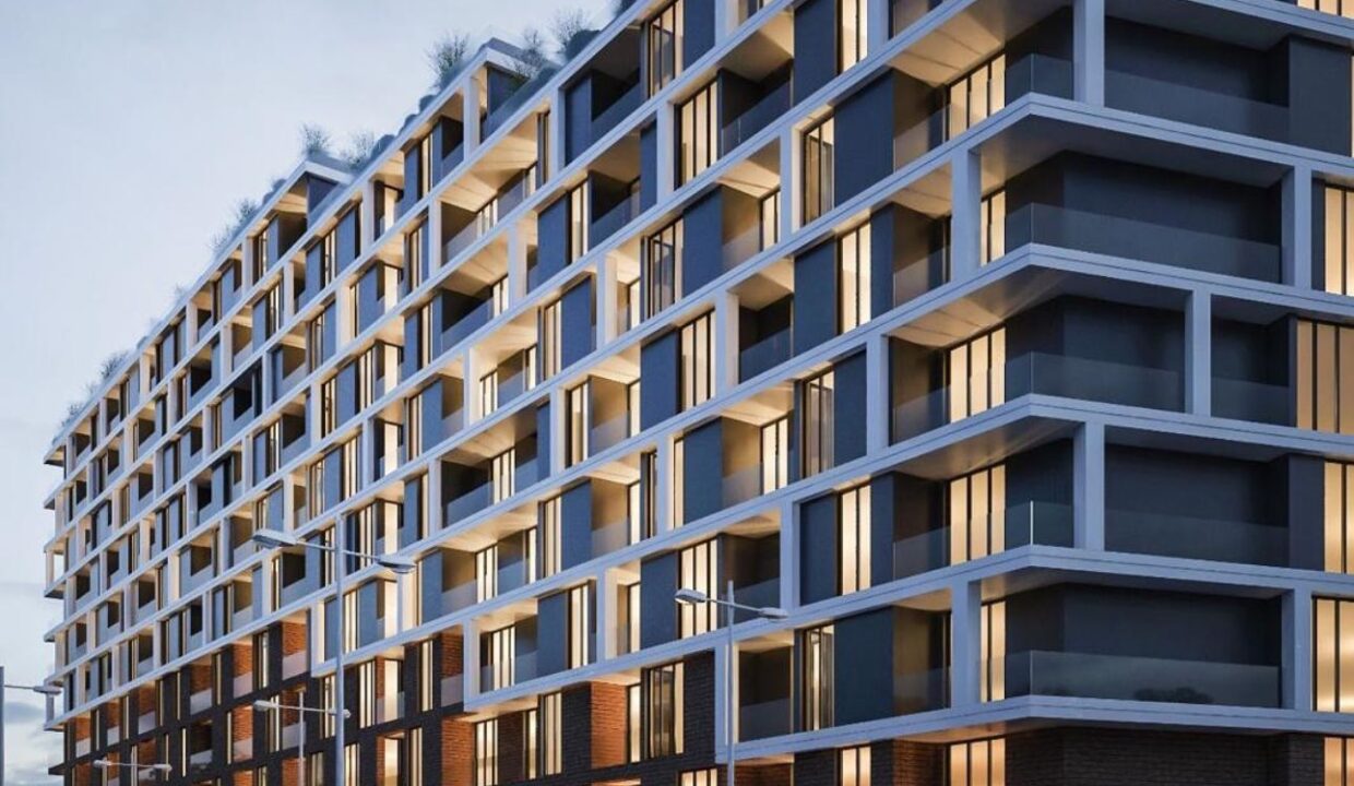 504121597_1255311703270317_8030188550693297261_n