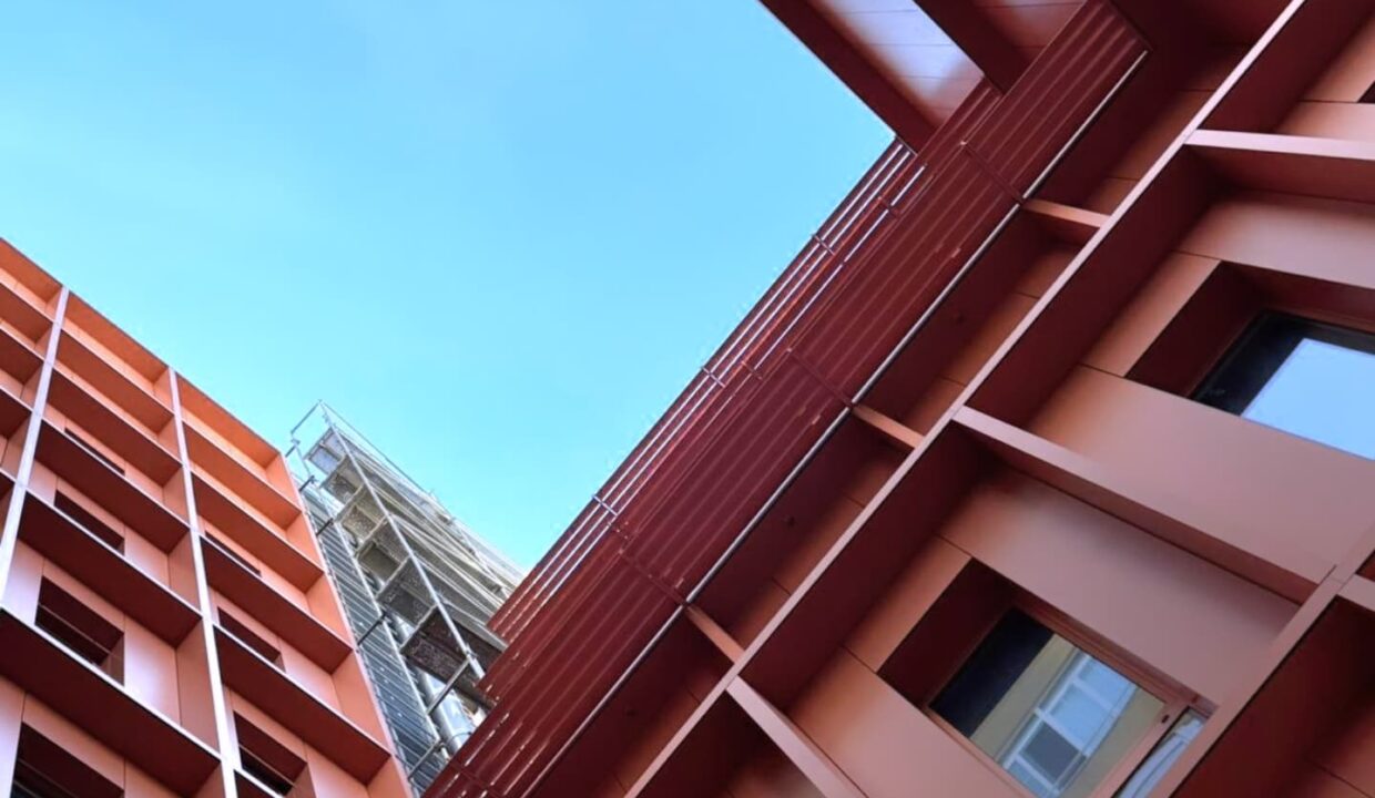 505423769_1256943179773836_2518419058291688176_n