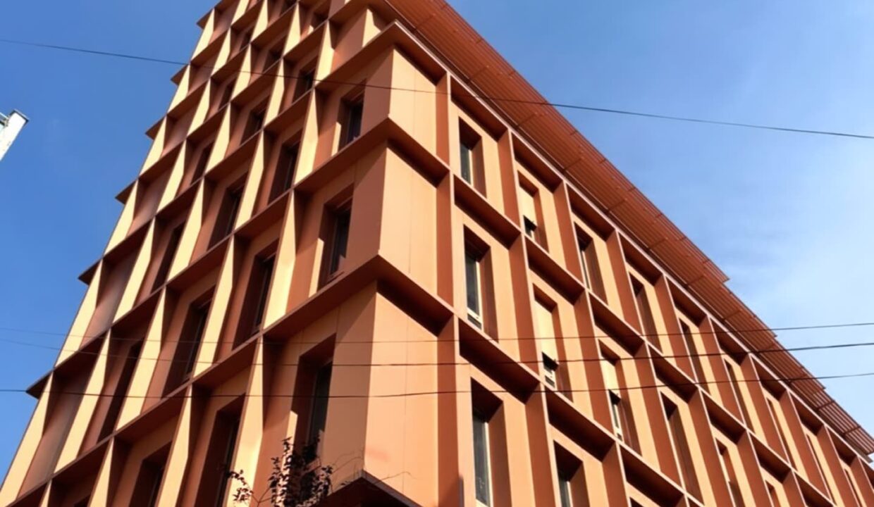 505501508_1256940263107461_532552999368989988_n