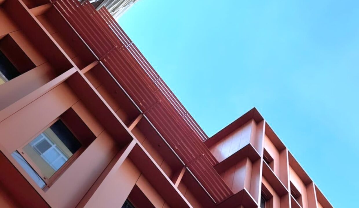 505762177_1256944283107059_5594749661489947701_n