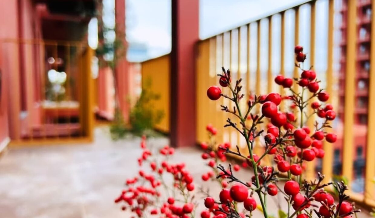 527982379_1310414497760037_9101572098437085995_n