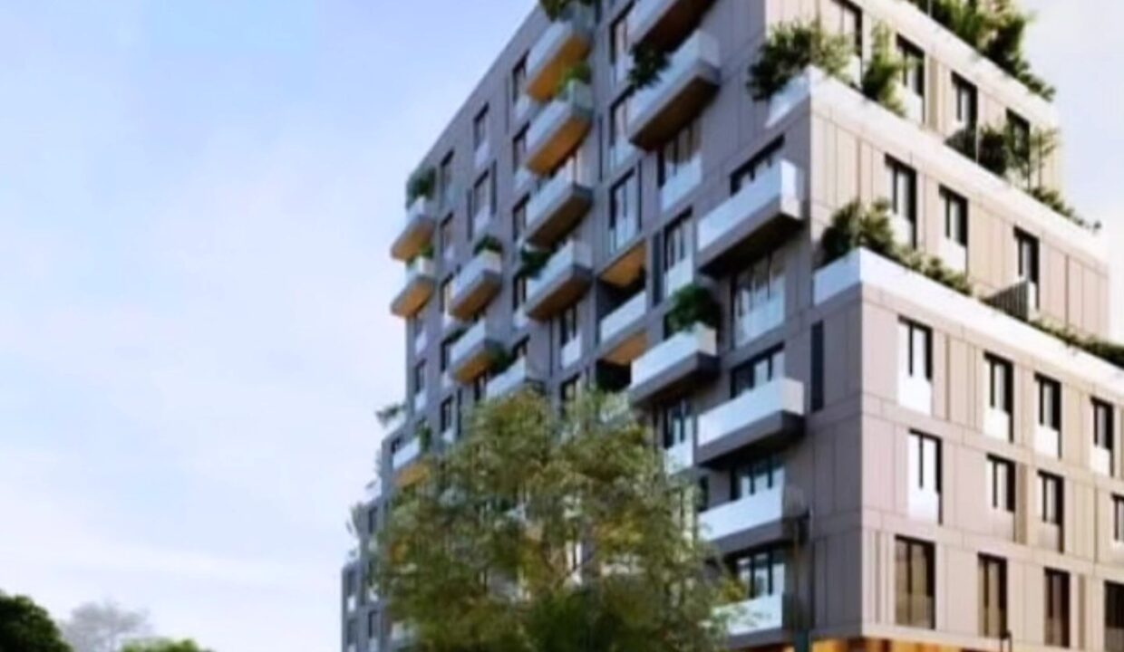 550226913_1358140046320815_6916633834712158527_n