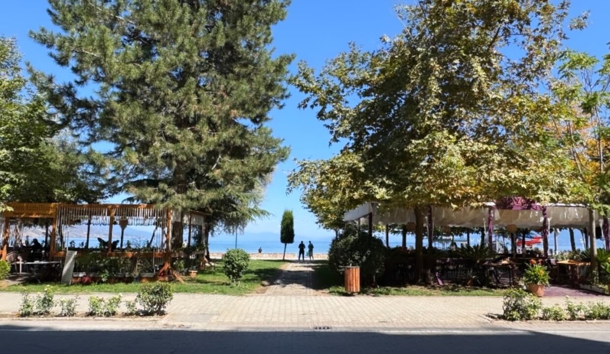 554987615_1359376886197131_1037909744285108923_n