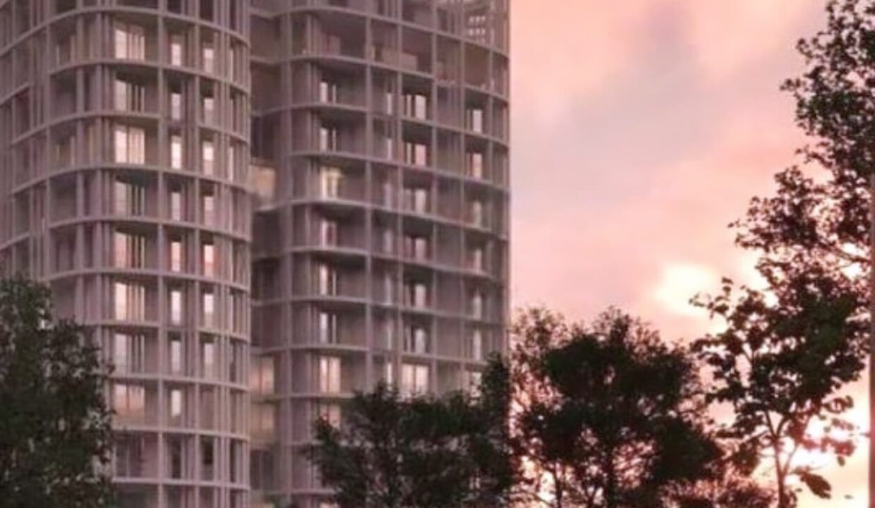 555717077_1361269699341183_9166887306807756599_n