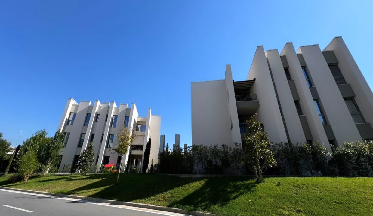 565102965_1384834606984692_6518548845205100090_n