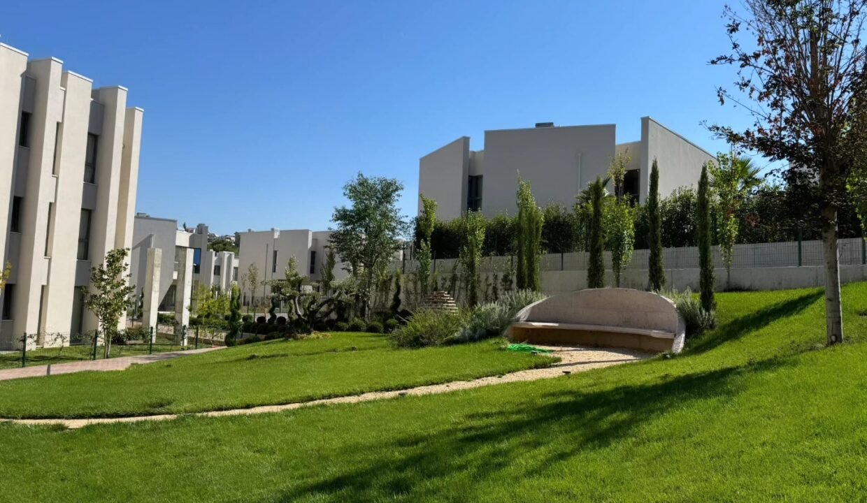 565347055_1384834616984691_5101697666819781582_n (1)