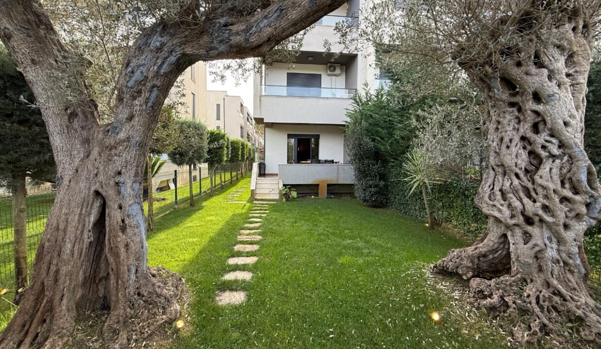 3ce36312-3e97-4300-93eb-a7442144df8c