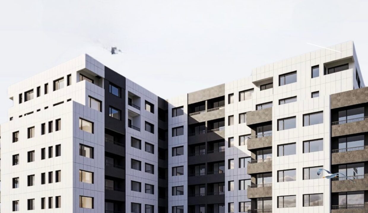 497434221_1236334995167988_3421701120156309668_n