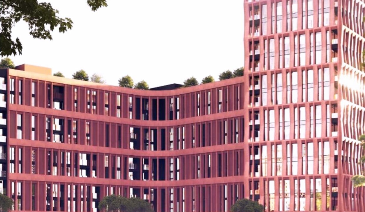 497859348_1236235075177980_6565721555214570304_n