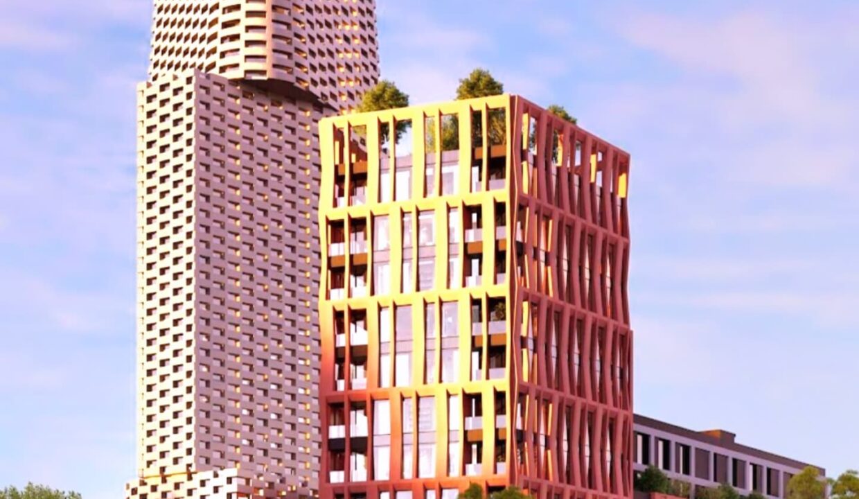 498314313_1236235085177979_8309358491259782430_n