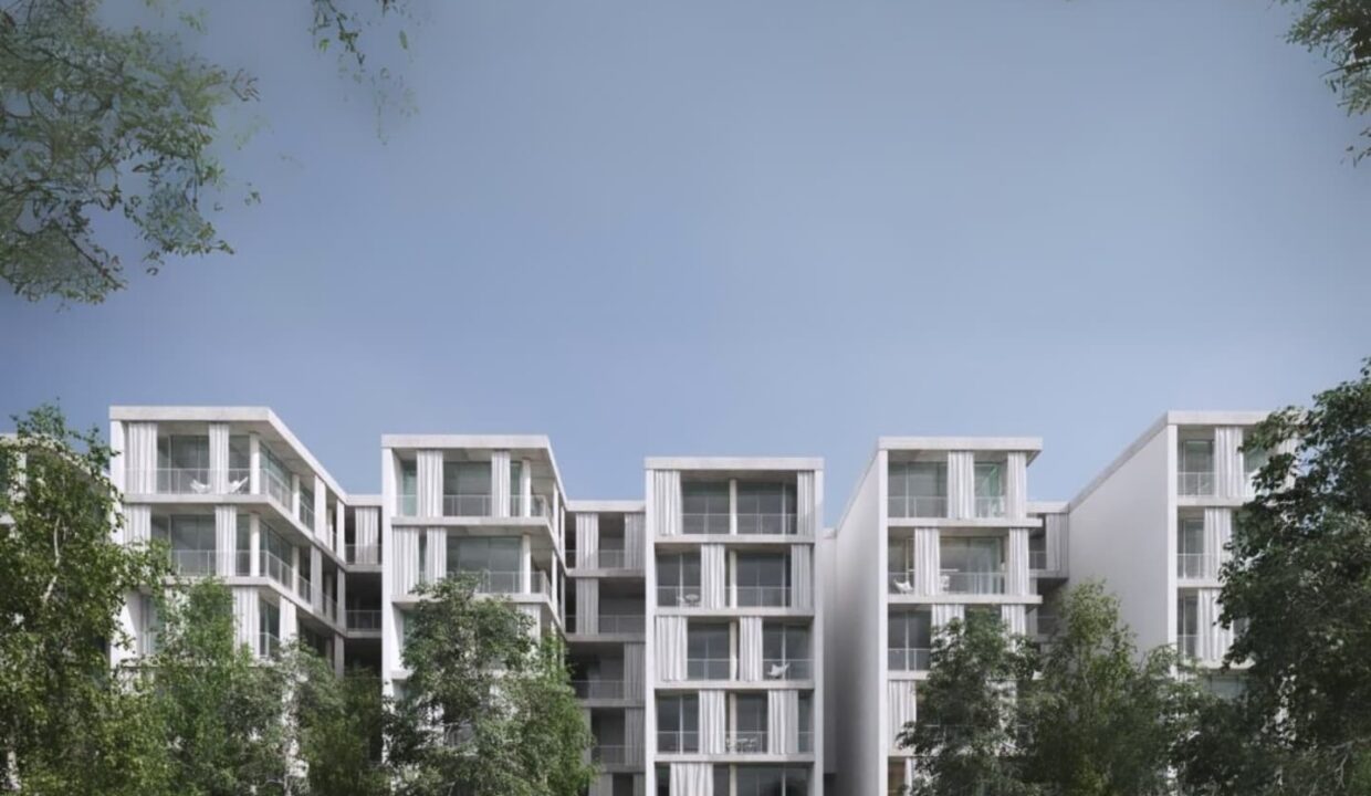 500539102_1244547851013369_1132755264837978783_n