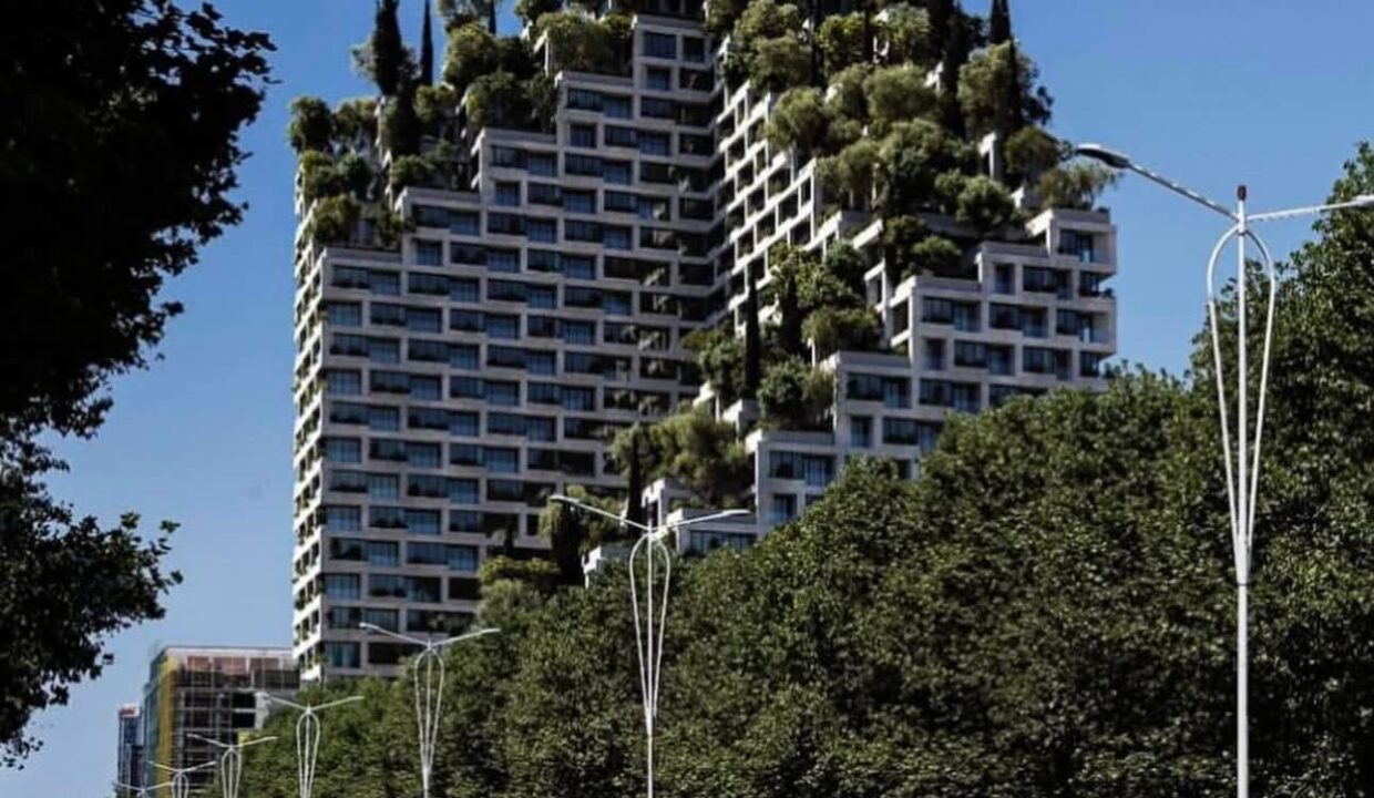 504022467_1259268869541267_486067674554371239_n