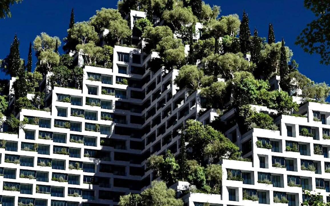 506064249_1259268866207934_7824399686177762647_n