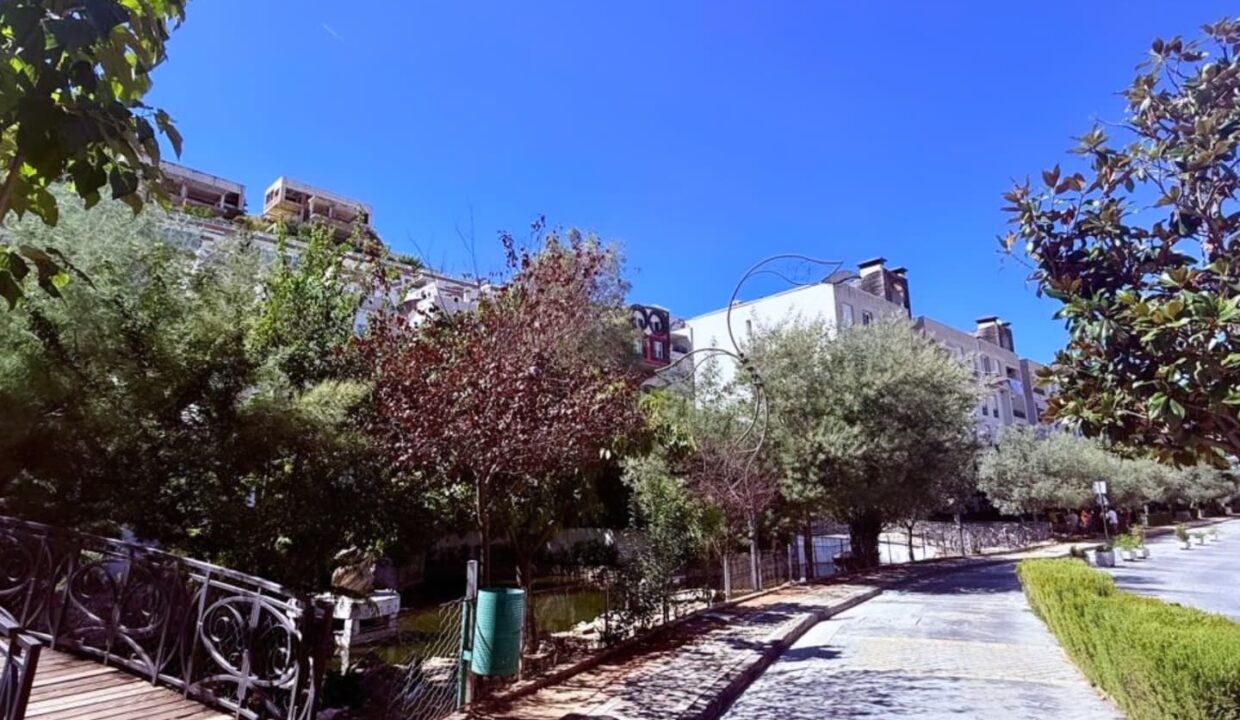 541939881_18337180144202141_4445847538879088214_n