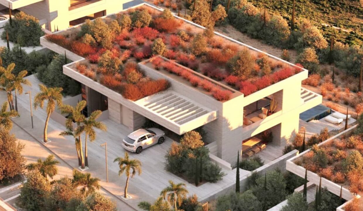 561434149_1375206474614172_2990705315864447838_n