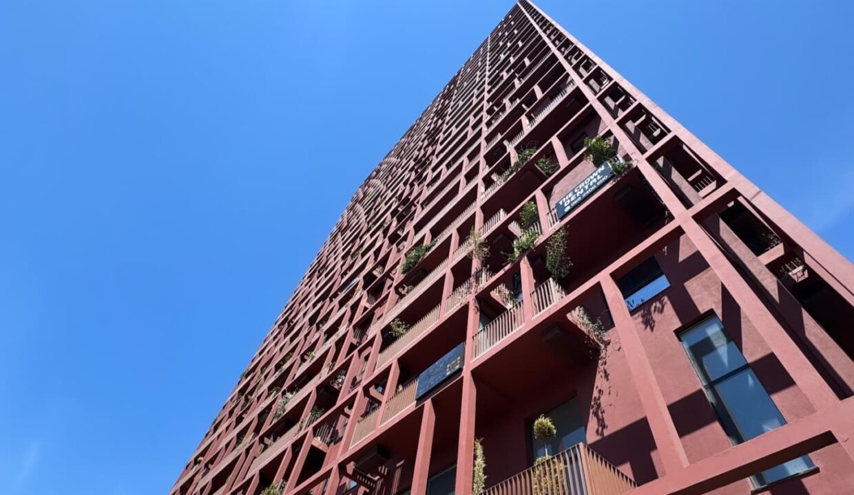 593591678_1424841819650637_1902840424264858383_n