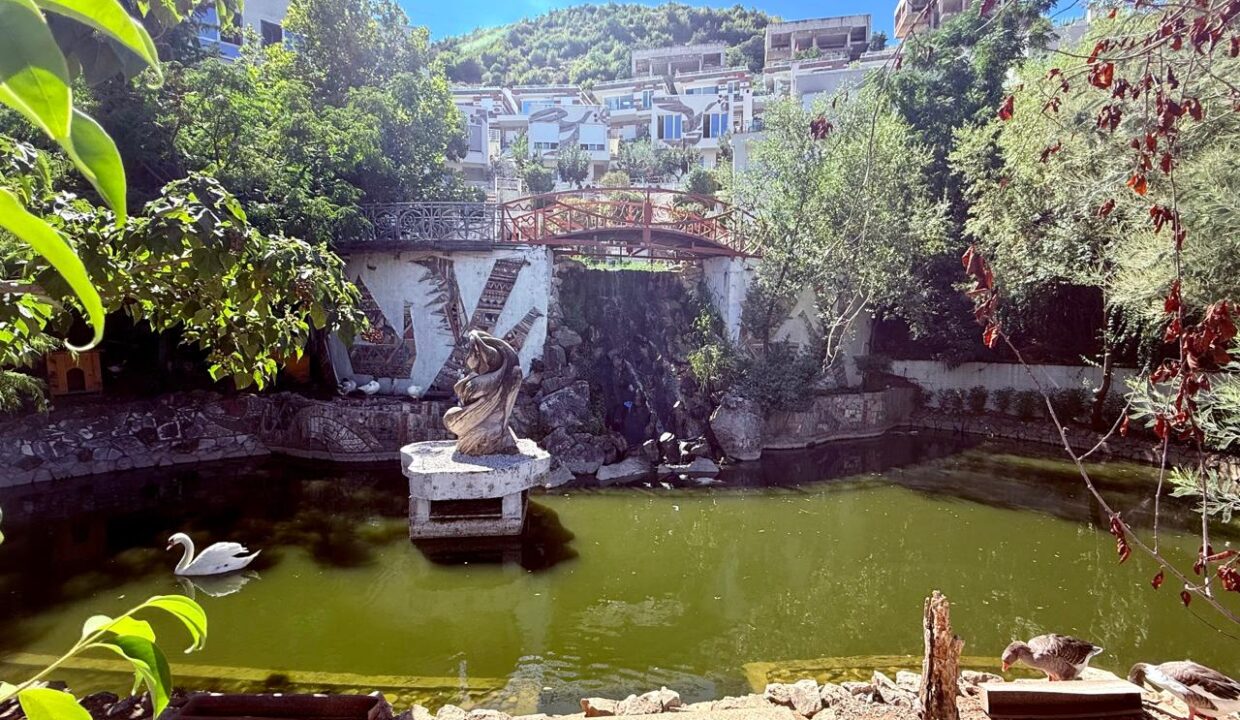 595048884_1427597139375105_7624771524103066389_n