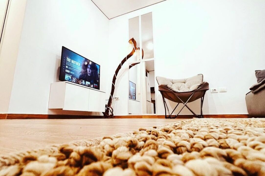 617646942_18355471042202141_6328501898082552561_n